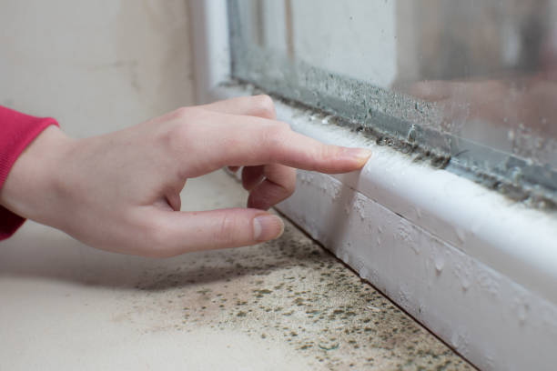 Best Residential Mold Inspection & Testing  in Columbus, WI