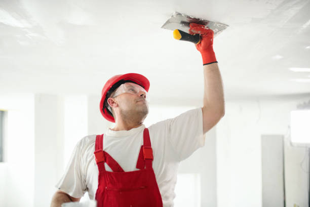 Mold Odor Removal Services in Columbus, WI